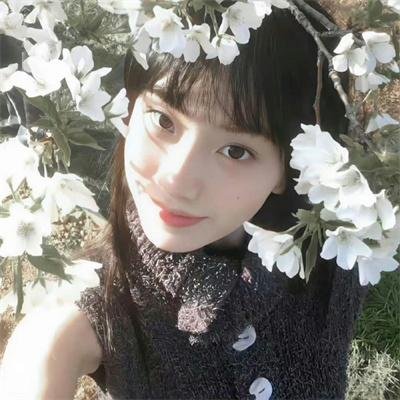 局内者们